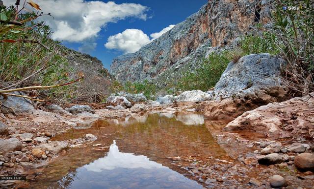 Photos for house 642804