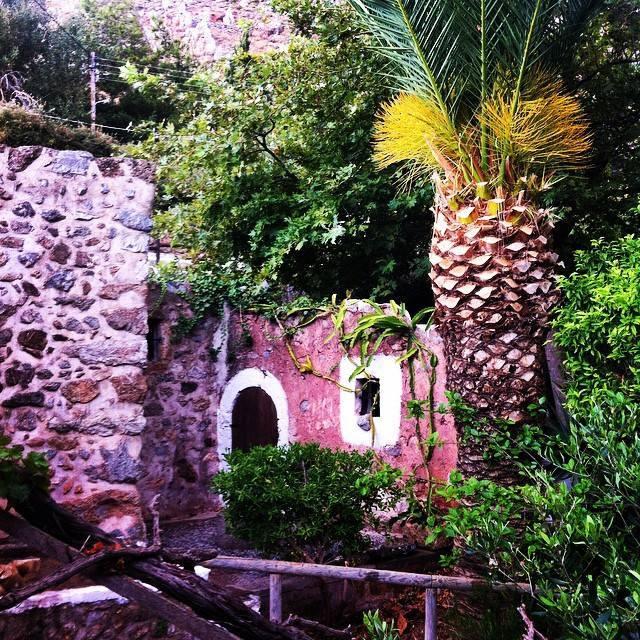 Photos for house 642804