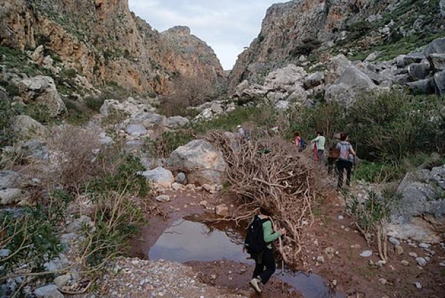 Photos for house 642804