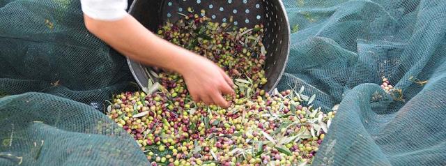 Photos for house 642804