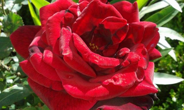 Photos for house 642804