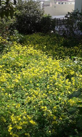 Photos for house 642804