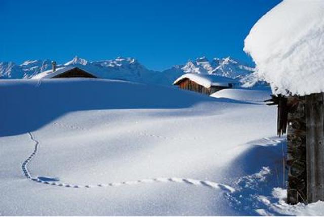 Photos for house 642824