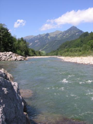 Photos for house 642824