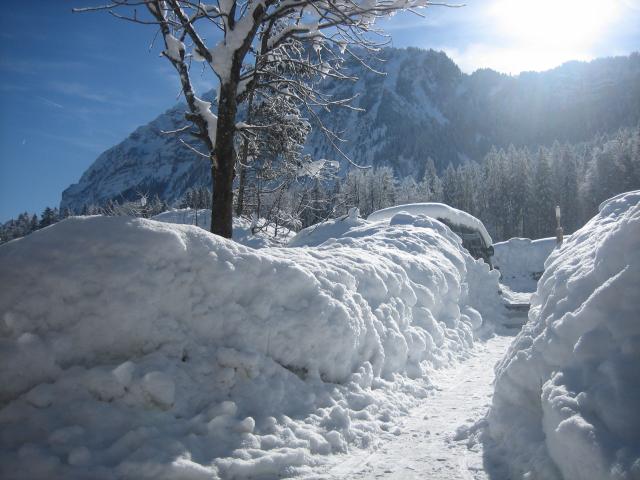 Photos for house 642824