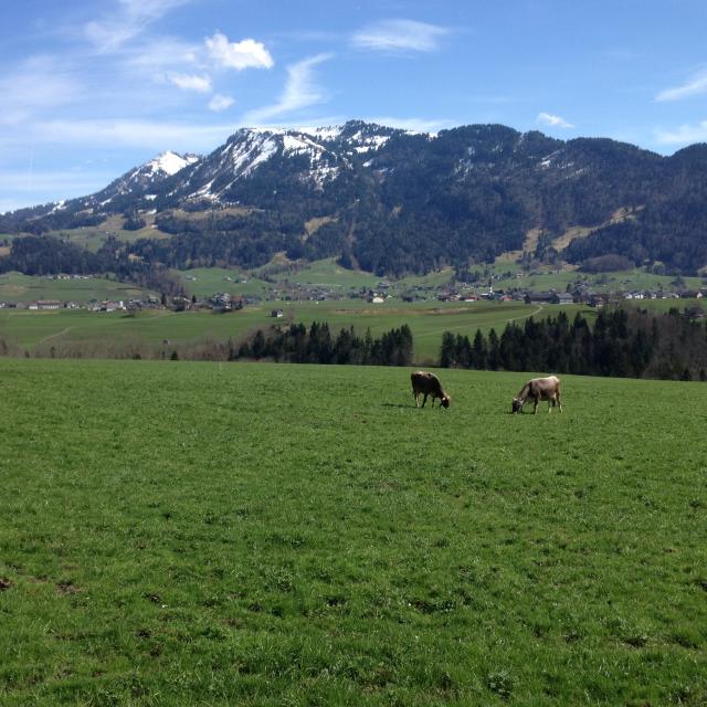 Photos for house 642824