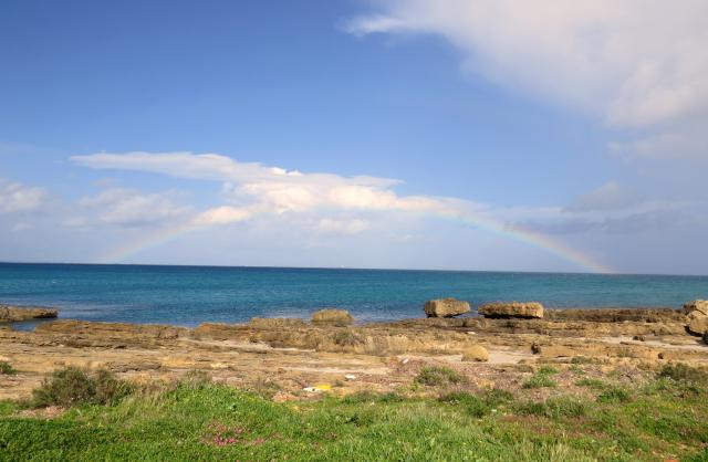 Photos for house 642833