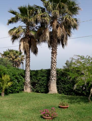 Photos for house 642833