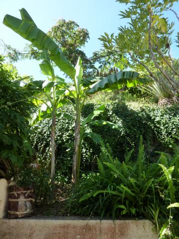 Photos for house 642891