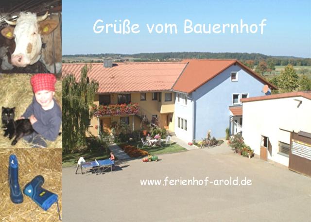 Photos for house 642895