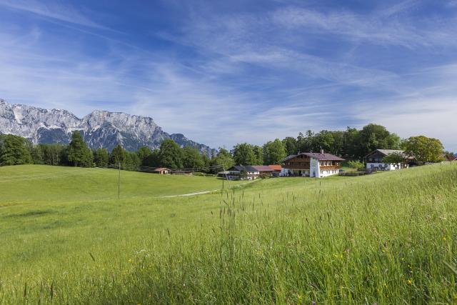 Photos for house 640291