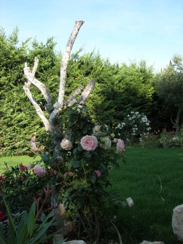 Photos for house 642920