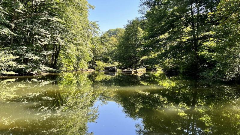 Photos for house 642938