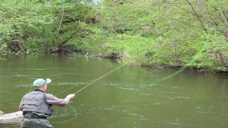 Photos for house 642938