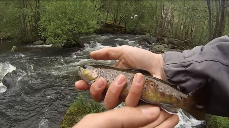 Photos for house 642938