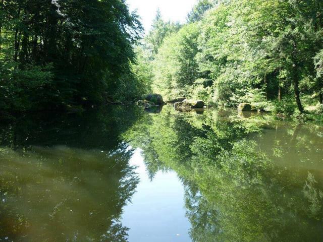 Photos for house 642938