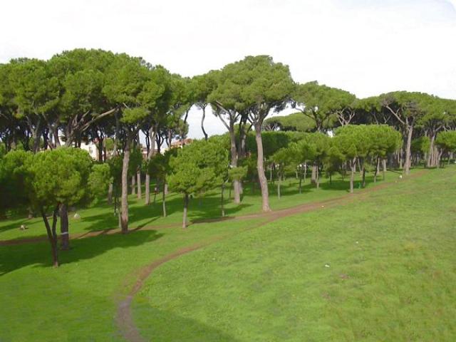 Photos for house 642944