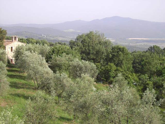 Photos for house 642945