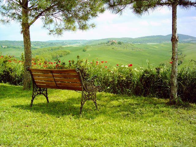 Photos for house 642962