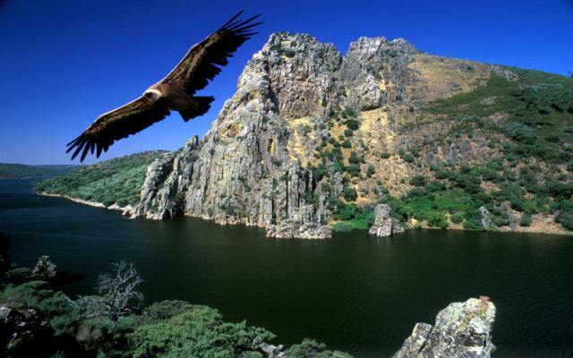 Photos for house 642981