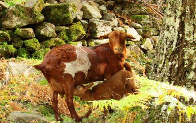 Photos for house 642981