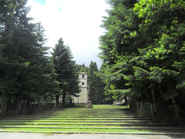 Photos for house 642990