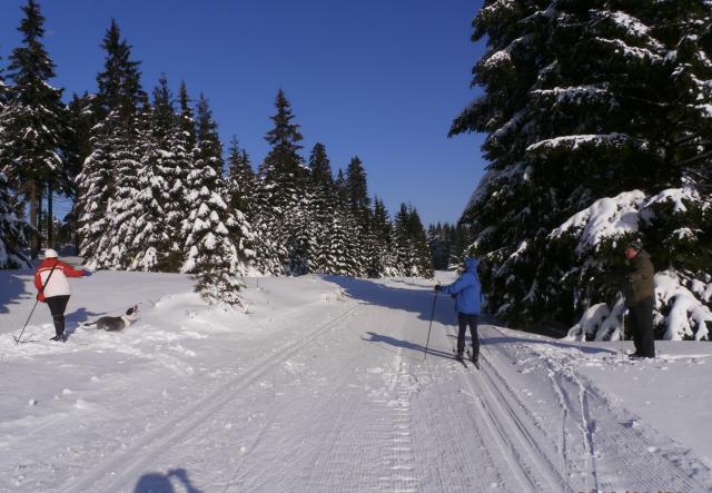 Photos for house 643004