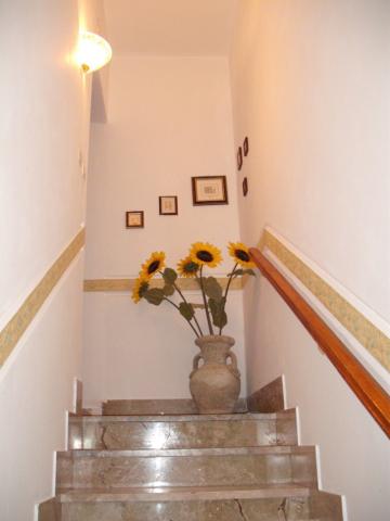 Photos for house 643030