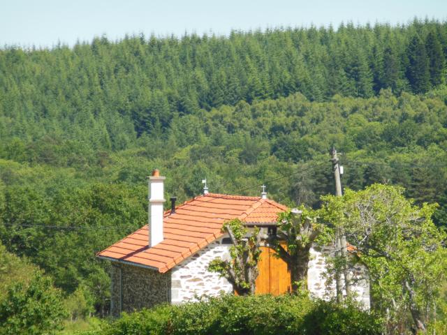 Photos for house 643034