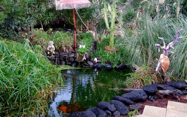 Photos for house 643040