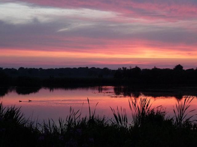 Photos for house 643044