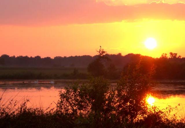 Photos for house 643045