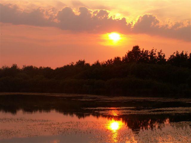 Photos for house 643046