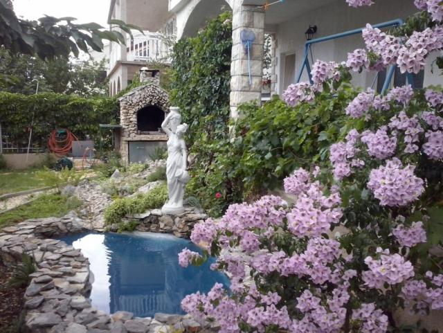 Photos for house 643058