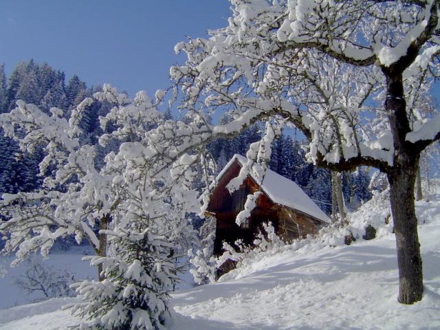 Photos for house 643087