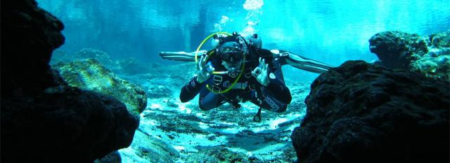 Photos for house 643089