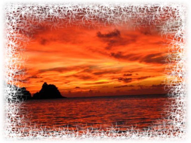 Photos for house 643107