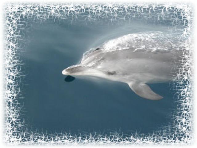 Photos for house 643107