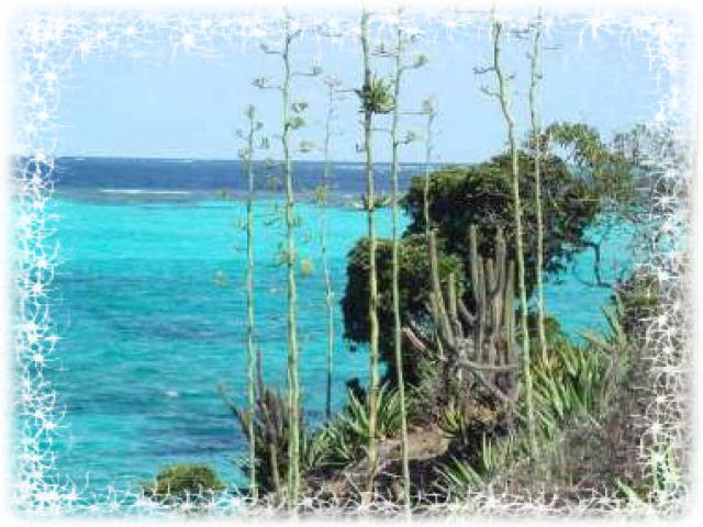 Photos for house 643107