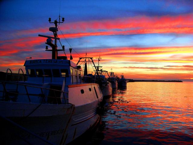 Photos for house 643117