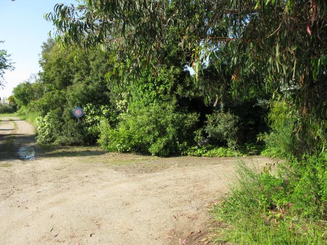 Photos for house 643136