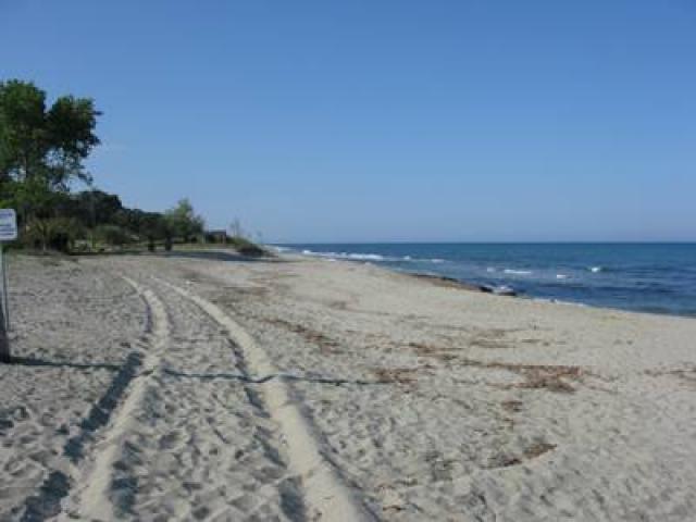 Photos for house 643136