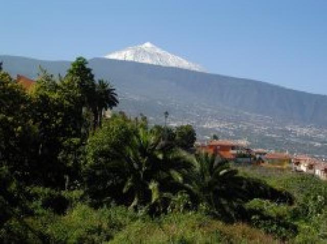 Photos for house 643145