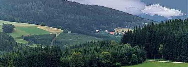 Photos for house 643147