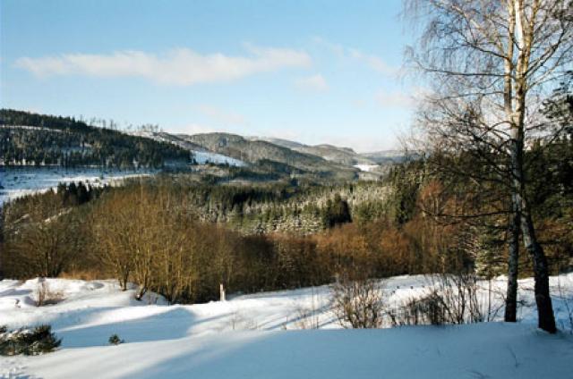 Photos for house 643147