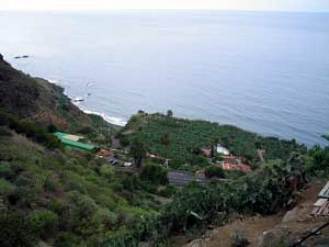 Photos for house 643150