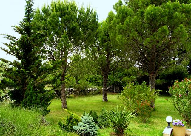 Photos for house 643160