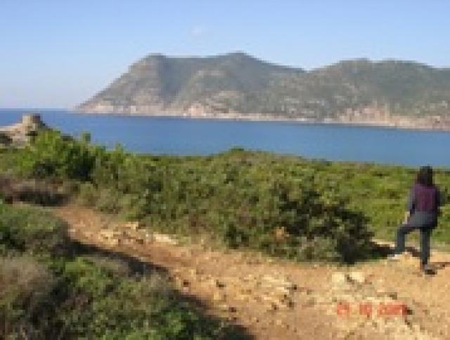 Photos for house 643161