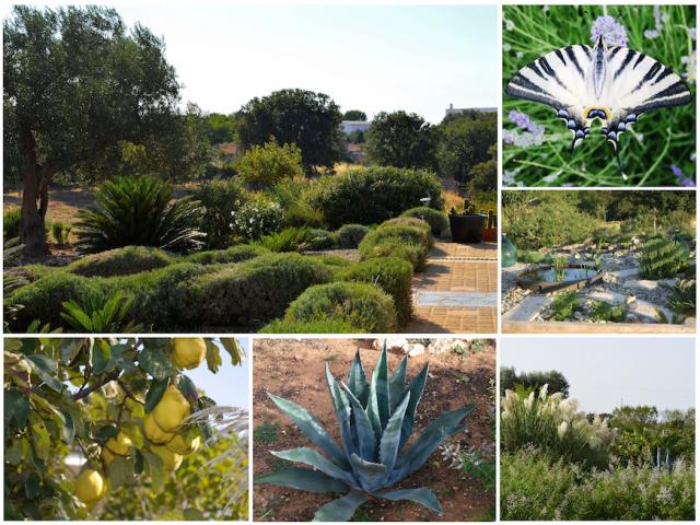 Photos for house 643167