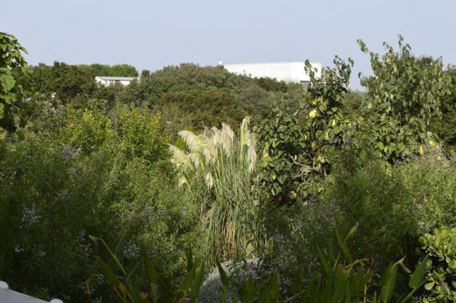 Photos for house 643167